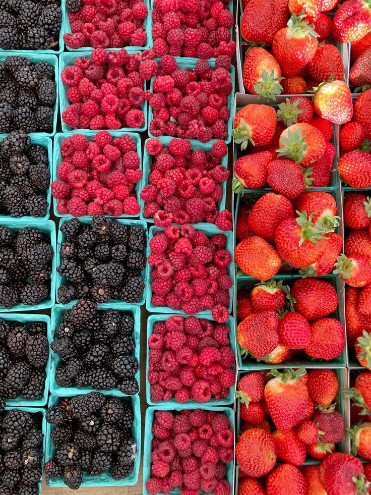 Field-to-Basket Berry Fusion: Farm Fresh Berry Bliss