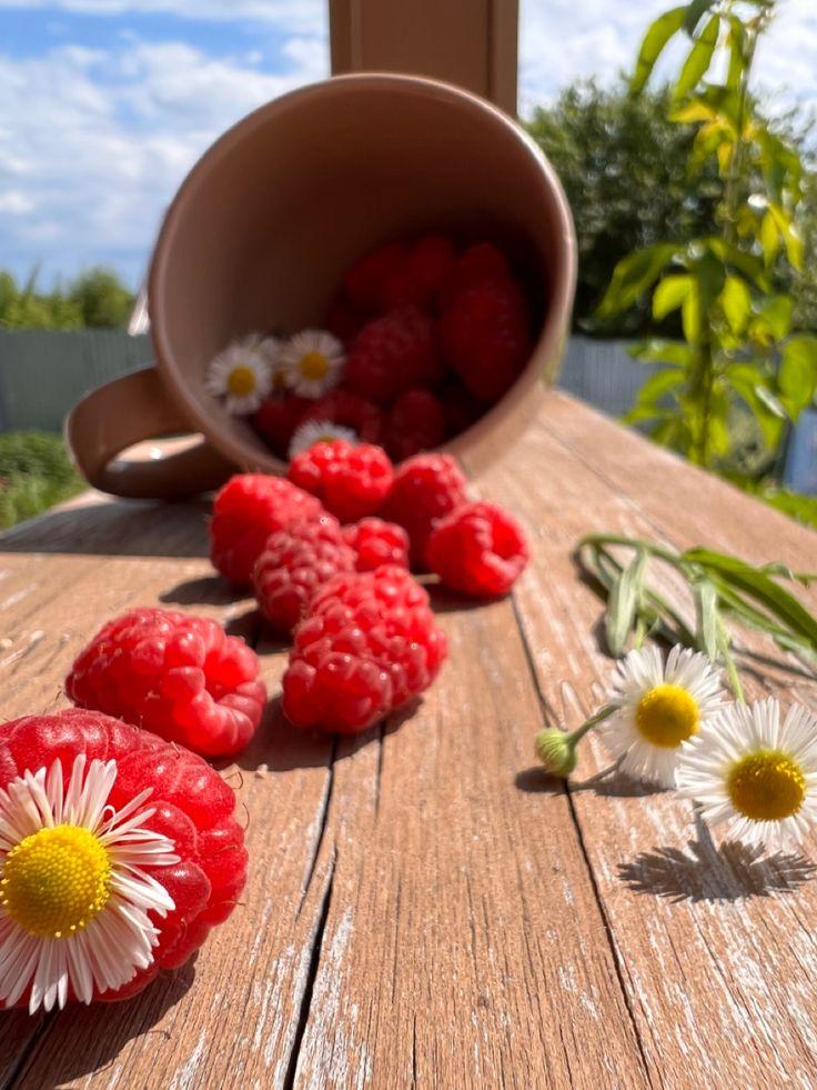 Garden Berry Bounty: Hand-Selected Nature's Sweets